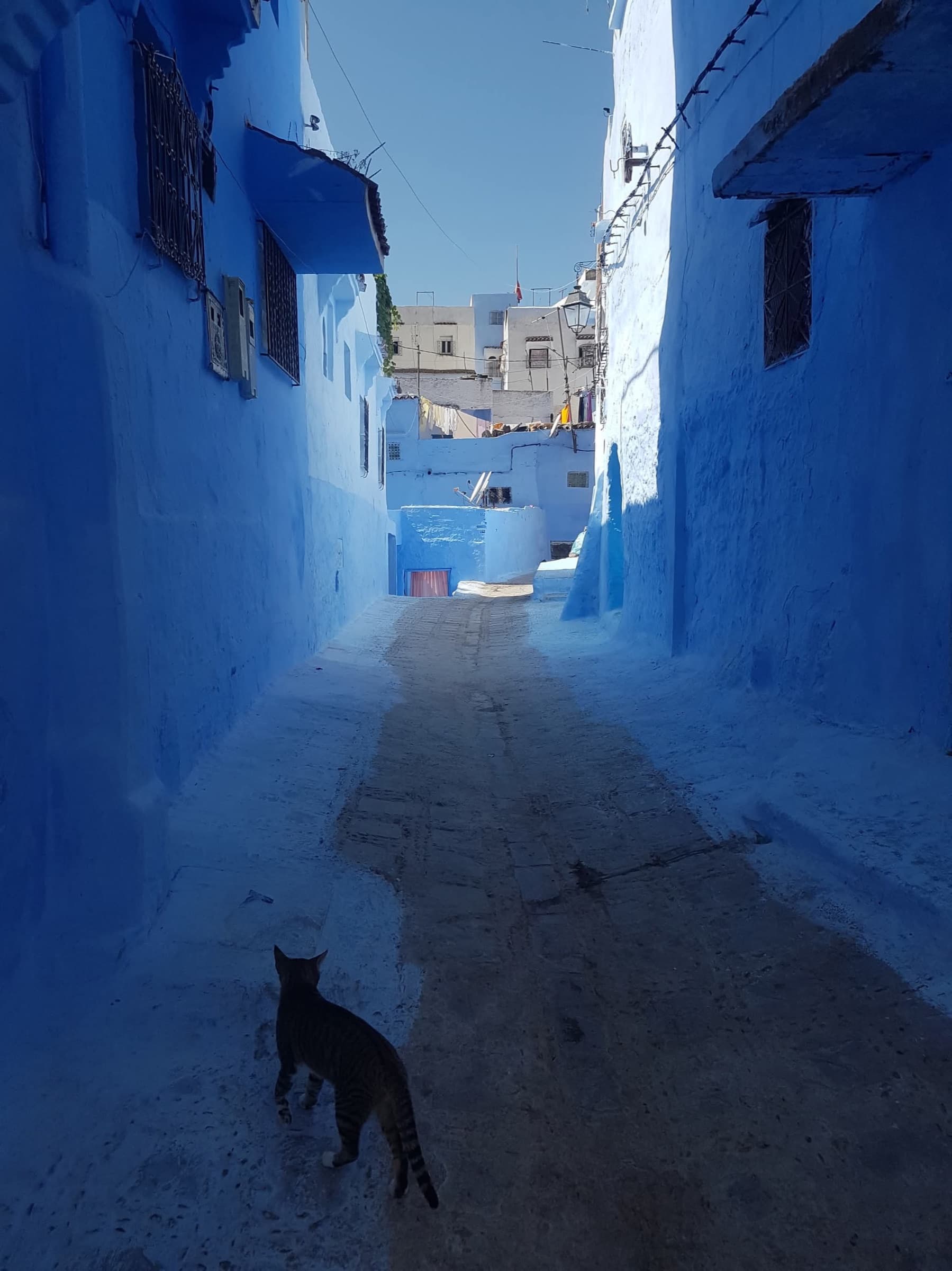 Niebieska uliczka w Chefchaouen.